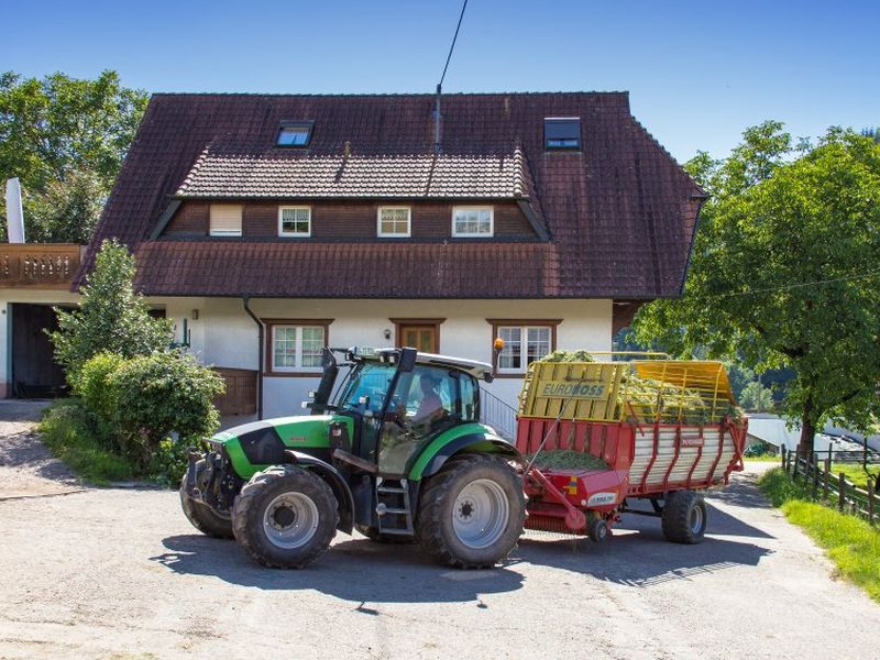 22179643-Ferienwohnung-4-Oberharmersbach-800x600-1