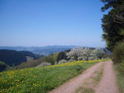 Wanderwege vor der Haustür