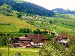 Ferienwohnung für 4 Personen (53 m²) in Oberharmersbach