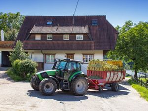 22018987-Ferienwohnung-5-Oberharmersbach-300x225-1