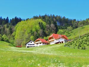 Ferienwohnung für 3 Personen (50 m²) in Oberharmersbach