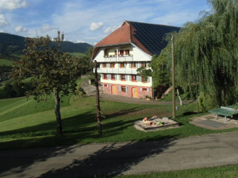 21633683-Ferienwohnung-4-Oberharmersbach-800x600-2