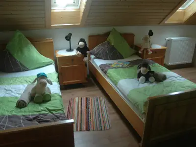 Ferienwohnung für 4 Personen (75 m²) in Oberharmersbach 5/10