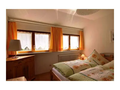 Ferienwohnung für 3 Personen (40 m²) in Oberharmersbach 10/10