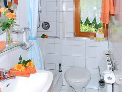 Ferienwohnung für 3 Personen (53 m²) in Oberharmersbach 9/10