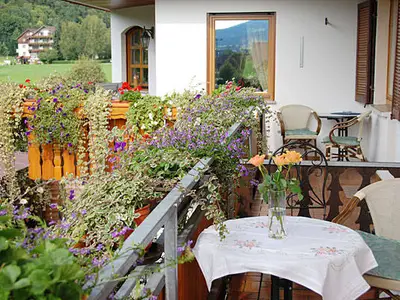 Ferienwohnung für 3 Personen (40 m²) in Oberharmersbach 4/9