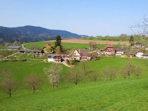 22180319-Ferienwohnung-6-Oberharmersbach-300x225-1