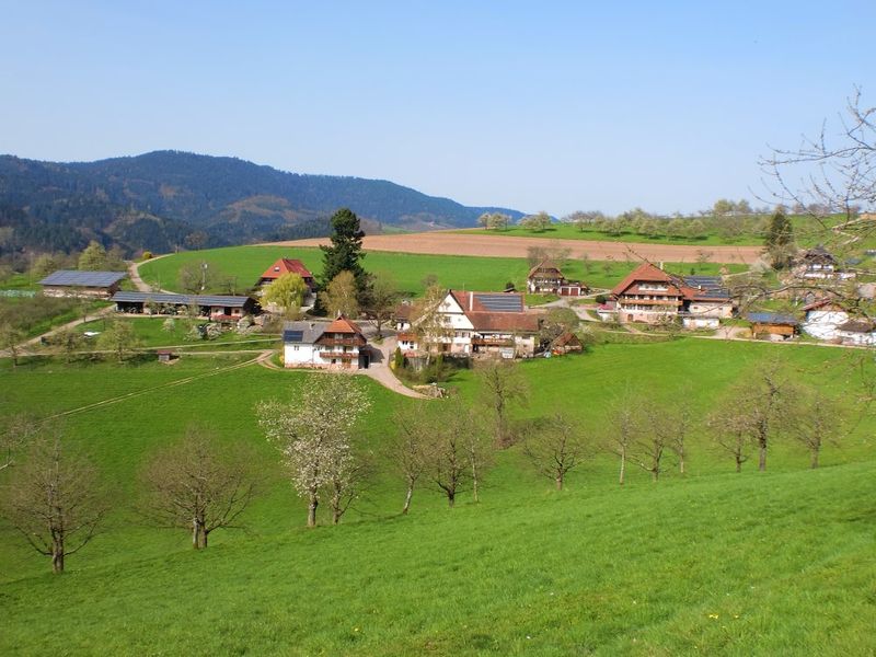 22180319-Ferienwohnung-6-Oberharmersbach-800x600-1