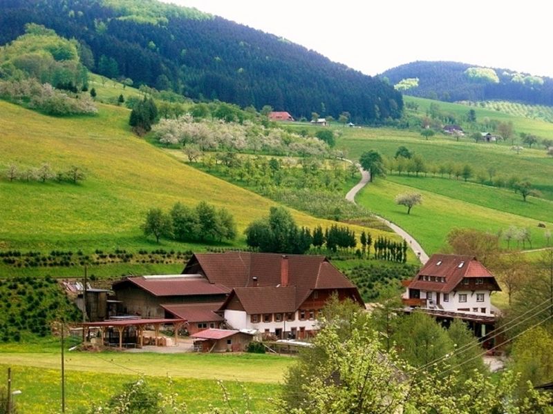 22181211-Ferienwohnung-4-Oberharmersbach-800x600-0