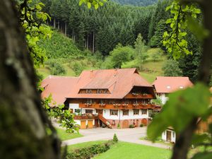 Ferienwohnung für 2 Personen (25 m²) in Oberharmersbach