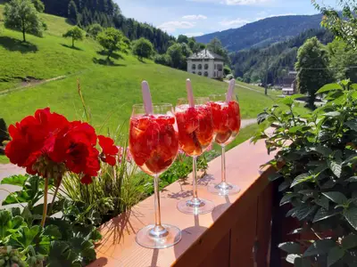 Ferienwohnung für 2 Personen (25 m²) in Oberharmersbach 3/10