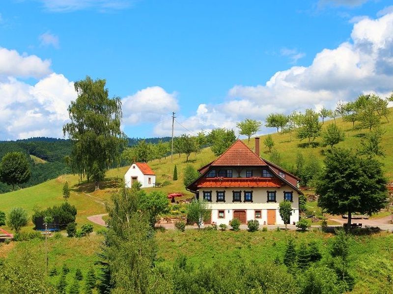 21633635-Ferienwohnung-3-Oberharmersbach-800x600-0