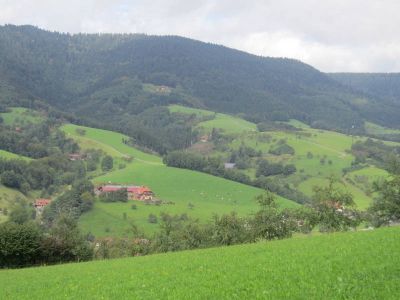 Blick vom Hubhof auf die gegenüber liegende Seite des Tals