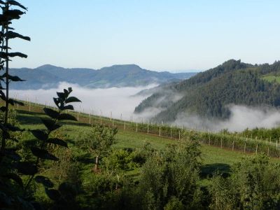 Nebel im Tal - Herrliche Sicht auf der Höhe