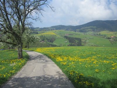 Ferienwohnung für 3 Personen (60 m²) in Oberharmersbach 7/10