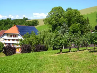 Ferienwohnung für 4 Personen (85 m²) in Oberharmersbach 2/10