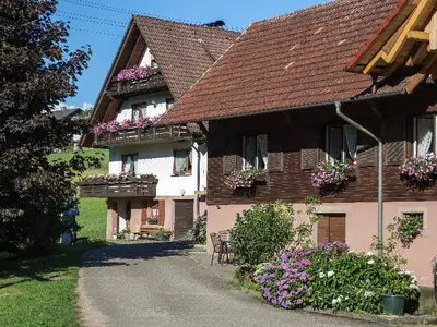 Ferienwohnung für 4 Personen (65 m²) in Oberharmersbach 1/10