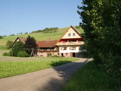 Ferienwohnung für 4 Personen (65 m²) in Oberharmersbach 3/10