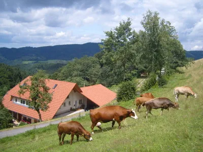 Ferienwohnung für 2 Personen (50 m²) in Oberharmersbach 2/10