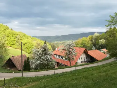 Ferienwohnung für 2 Personen (50 m²) in Oberharmersbach 3/10