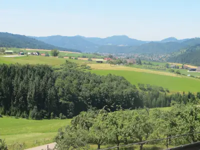 falkennest_aussicht_1-1