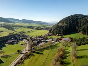 Ferienwohnung für 3 Personen (40 m²) in Oberharmersbach