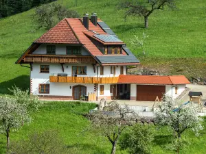 Ferienwohnung für 2 Personen (56 m²) in Oberharmersbach