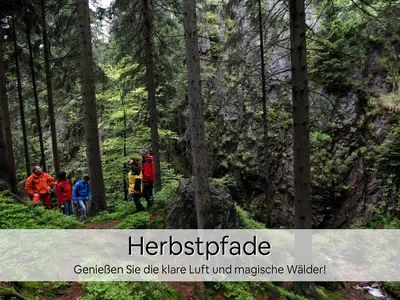 Ferienwohnung für 4 Personen (60 m²) in Oberhof 5/10