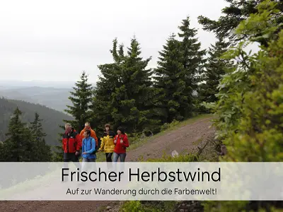 Ferienwohnung für 4 Personen (61 m²) in Oberhof 3/10