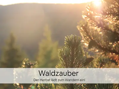 Ferienwohnung für 4 Personen (60 m²) in Oberhof 3/10