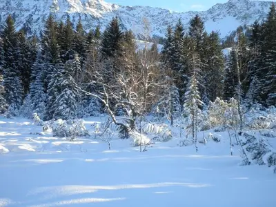 Ferienwohnung für 2 Personen (23 m²) in Bad Hindelang 3/10