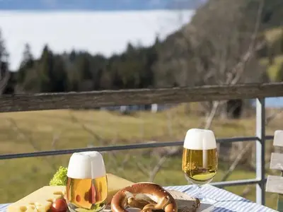 Ferienwohnung für 6 Personen (40 m²) in Bad Hindelang 4/10