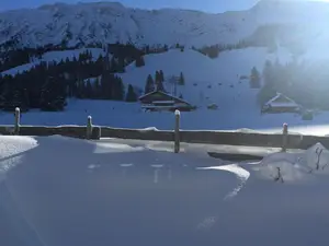 Ferienwohnung für 4 Personen (52 m²) in Bad Hindelang