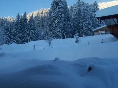 Ferienwohnung für 4 Personen (75 m²) in Bad Hindelang 9/10
