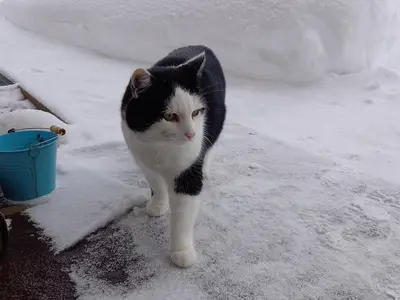 Ferienwohnung für 4 Personen (75 m²) in Bad Hindelang 10/10
