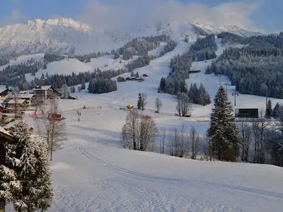 Ferienwohnung für 4 Personen (41 m²) in Bad Hindelang 7/10