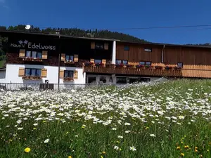 Ferienwohnung für 3 Personen (61 m²) in Bad Hindelang