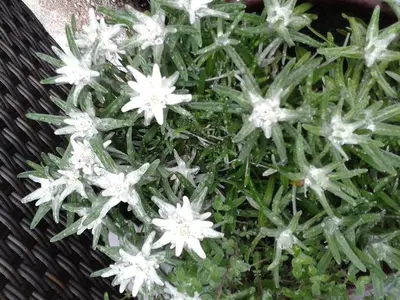 Ferienwohnung für 6 Personen (100 m²) in Bad Hindelang 10/10