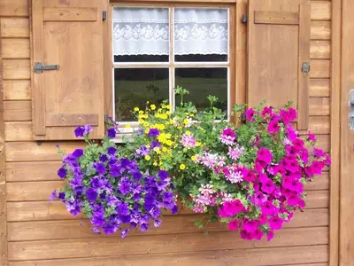 Ferienwohnung für 6 Personen (100 m²) in Bad Hindelang 9/10