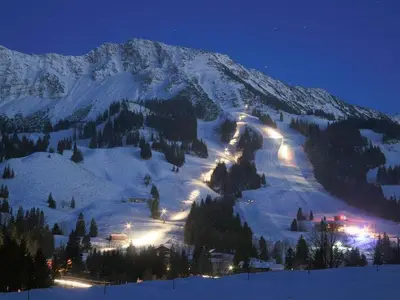 Ferienwohnung für 4 Personen (41 m²) in Bad Hindelang 7/10