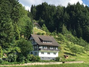 Ferienwohnung für 4 Personen (85 m²) ab 72 € in Oberkirch