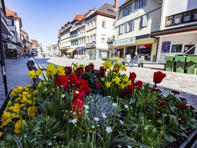 Innenstadt mit Geschäften und schönen Blumen