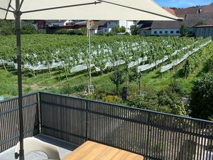 Terrasse mit Rebblick