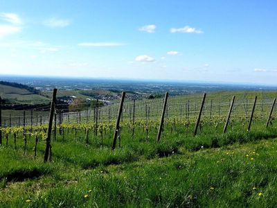 Ferienhof Vordere Alm