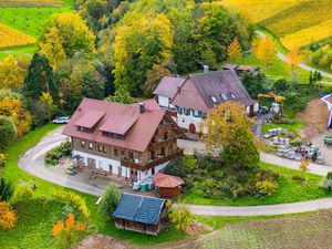 23970093-Ferienwohnung-4-Oberkirch-300x225-4