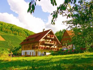 23970093-Ferienwohnung-4-Oberkirch-300x225-1