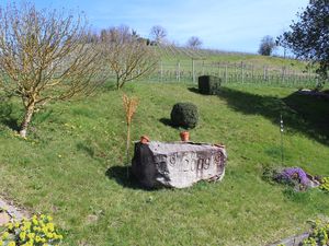 19180095-Ferienwohnung-3-Oberkirch-300x225-4