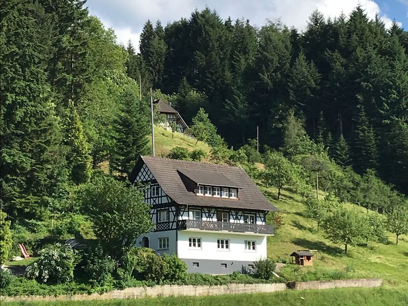 22078061-Ferienwohnung-4-Oberkirch-800x600-0