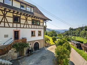 Ferienwohnung für 4 Personen (70 m²) in Oberkirch