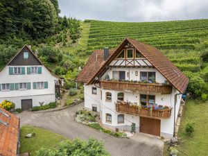 Ferienwohnung für 4 Personen (42 m&sup2;) in Oberkirch